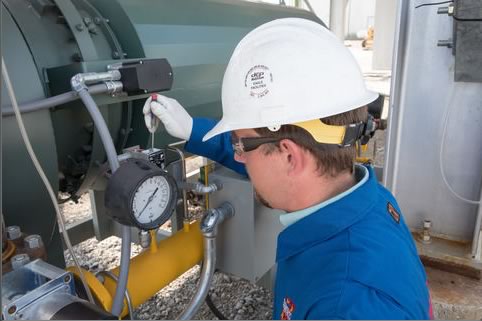 Zeeco Combustion Survey