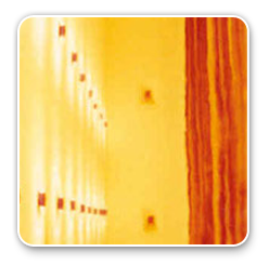 RWSF Premixed, Staged Fuel, Radiant Wall Burner