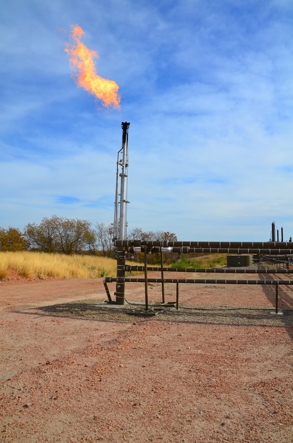Zeeco Exploration & Production Flare