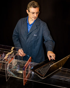 Power Services Modeling Photo